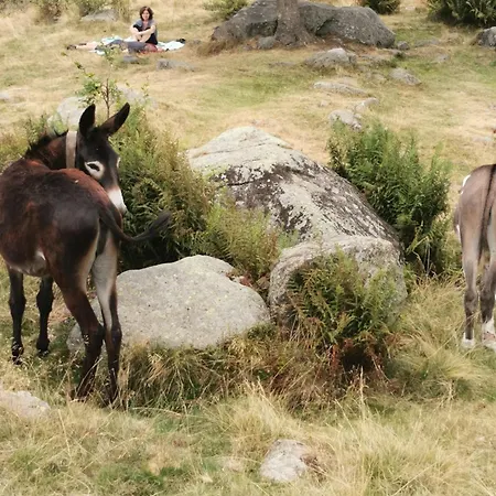 Da Anny - Valdilana *