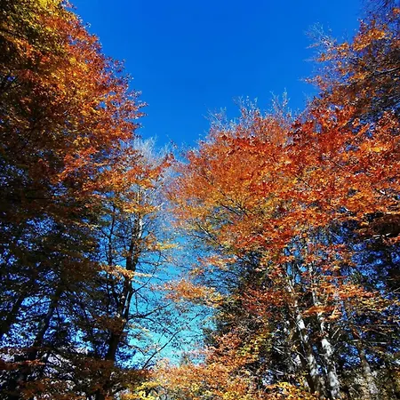 Da Anny - Valdilana * Coggiola