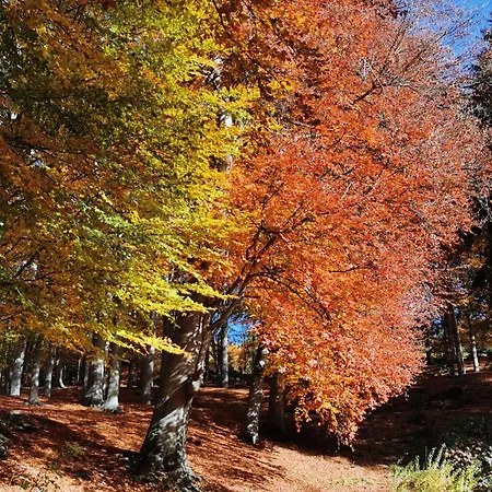 Da Anny - Valdilana * Coggiola