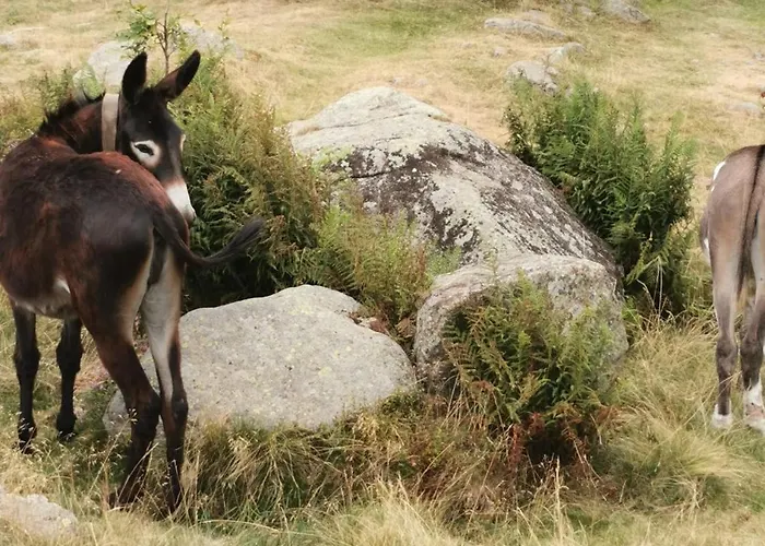 Da Anny - Valdilana *