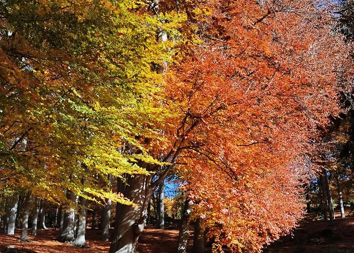 Da Anny - Valdilana * Coggiola